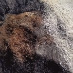 Pormenor de feltragem de lã com água, cachecol de figurino
Boca de Cão, Arcozelo
2017